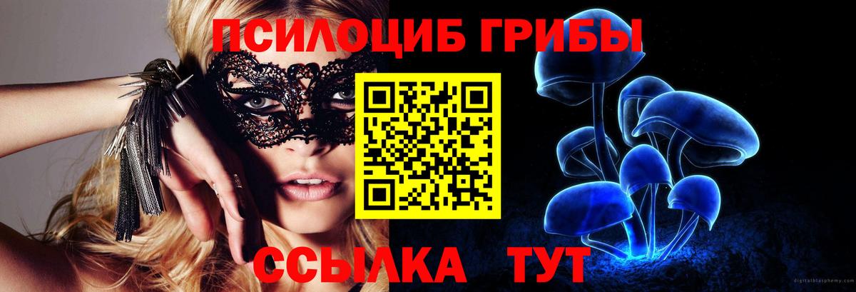 Псилоцибиновые грибы Psilocybe Курган